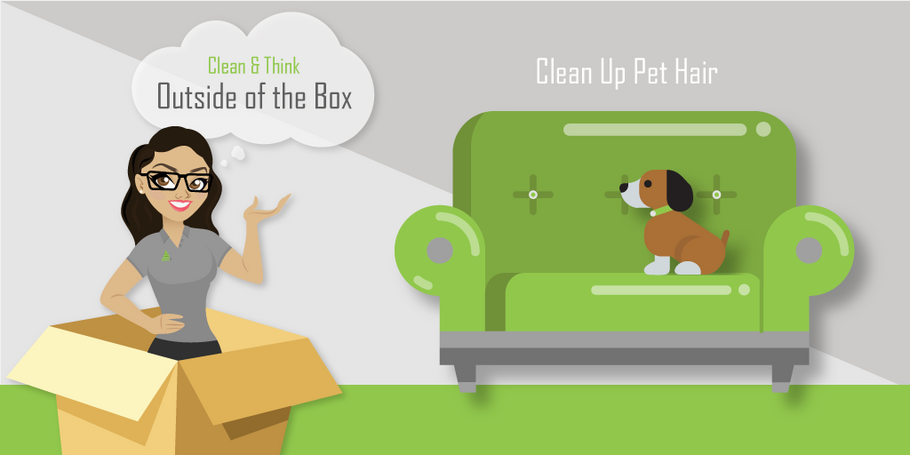 Clean Up Pet Hair, Try This!